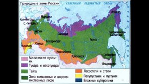 $5 "Районирование территории России", География 9 класс, Домогацких