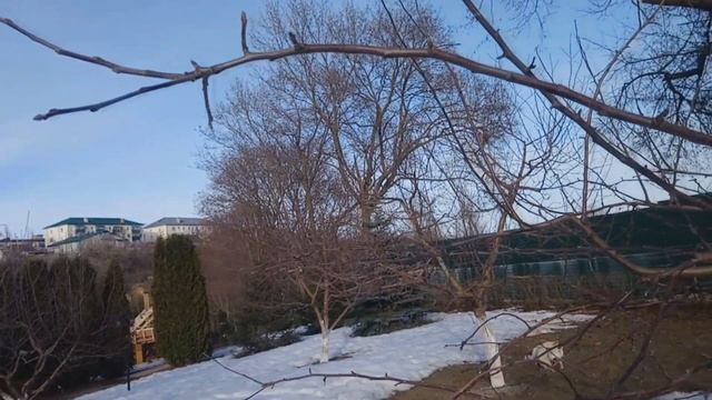 ОБРЕЗКА ПЛОДОВЫХ ДЕРЕВЬЕВ/ ВЕСЕННЯЯ ОБРЕЗКА САДА смотреть онлайн