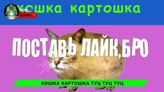 Собачка жвачка кошка картошка