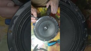 Ремонт динамика, перемотка.