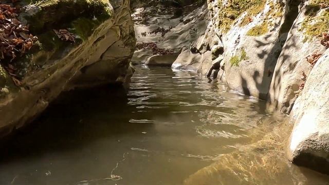 Каньон ручья Бешеный, Туапсинский район. Сентябрь 2023 смотреть онлайн