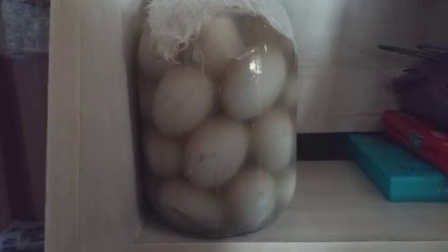 #MANASTVПРЕДСТАВЛЯЕТ ГУСИНОЕ ЯЙЦО В ТРЕНДЕ.. смотреть онлайн