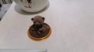 Как ставить шоколадных Мишек в купол