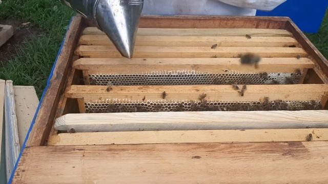 ПАСЕКА.ПЧЕЛОВОДСТВО. Работаем и расширяем второй корпус.