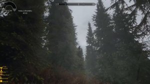 Skyrim Forest DOF 2