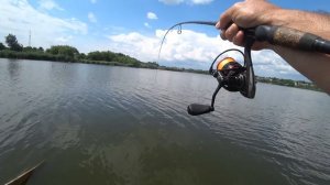 Как поймать сома на спиннинг. Открыл сезон ловли по хищнику.