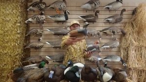 Обзор чучел Softplast ALFA 2021