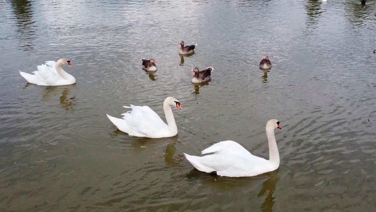В Липецкой области готовятся к масштабной международной выставке "Россия" на ВДНХ