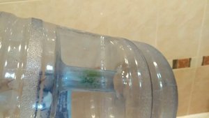 Как почистить бутыль внутри и отмыть от зелени