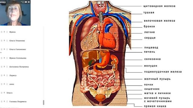 Велимира. Презентация курса "Руническая Боевая магия" + 2 практики.