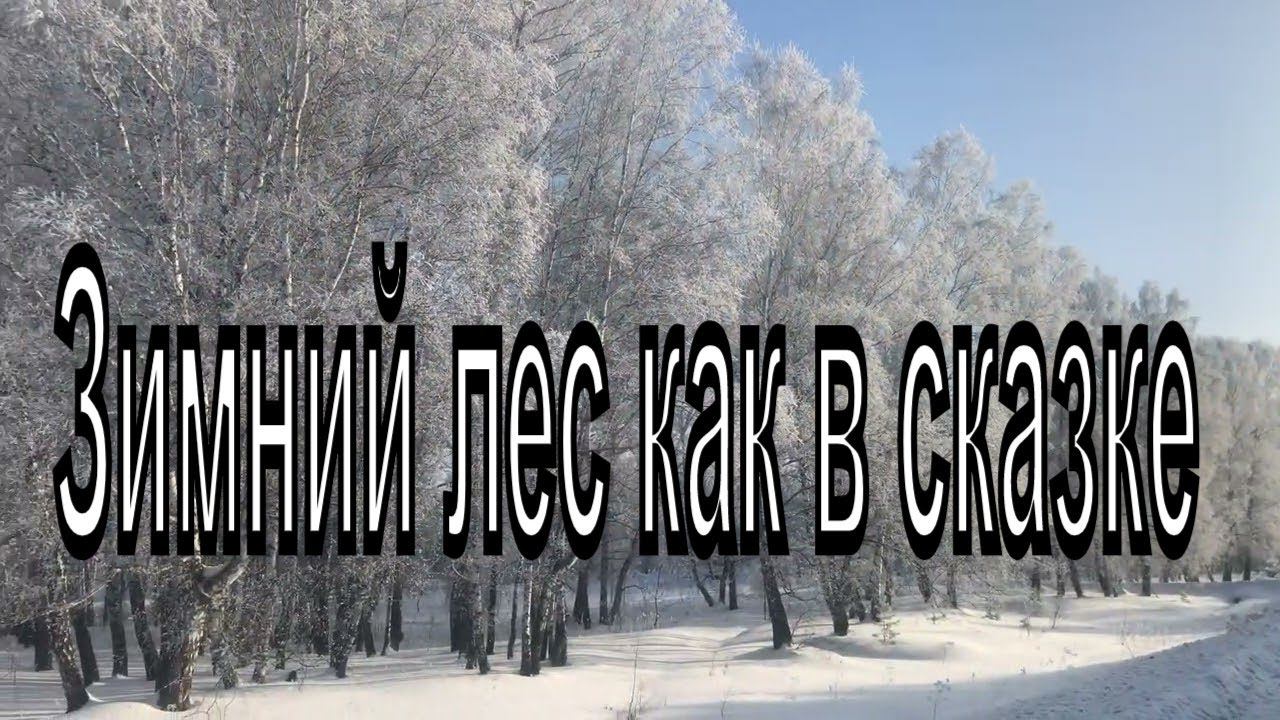 Зимняя сказка.  Красота зимнего леса. Новосибирская область. Зима.