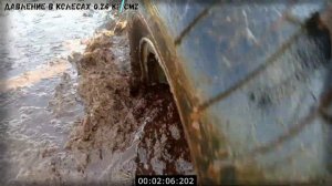 Каракат на Торфяном болоте