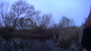 Удачная охота с подсадными утками. Иж-12 в 16 калибре