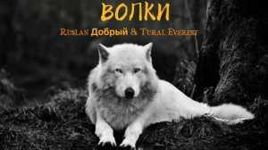 🐺ВОЛКИ🐺 TURAL EVEREST & RUSLAN ДОБРЫЙ ВОЛКИ МЫ В НОЧНЫХ ЛЕСАХ🐺1