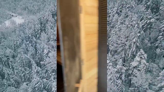 Обзор . Баня викинг 6м на 2.4м из кедра пол из термодерева
