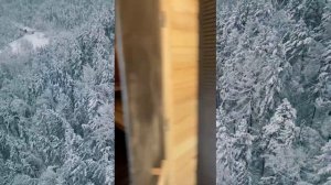 Обзор . Баня викинг 6м на 2.4м из кедра пол из термодерева