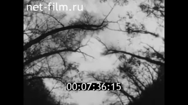 Габдула Тукай - Ишаны губят наш народ  а я не знал об этом