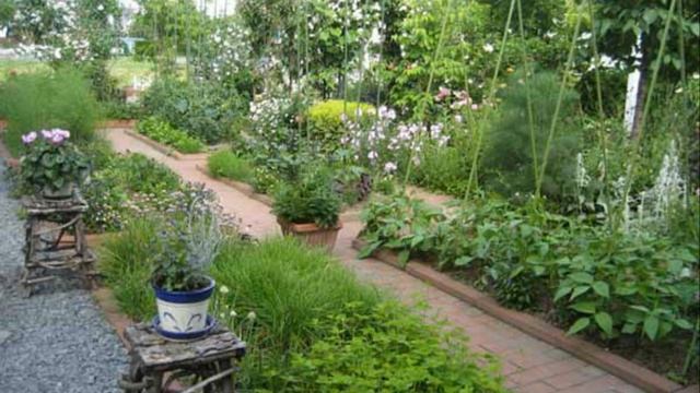 Красивый ОГОРОД 30 красивых ГРЯДОК смотреть онлайн