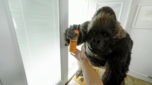 2018 Spray Adhesive Commercial смотреть онлайн