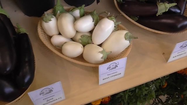 Белые огурцы и баклажаны,фиалетовая картошка,креативные идеи на выставке Цветы 2017 смотреть онлайн