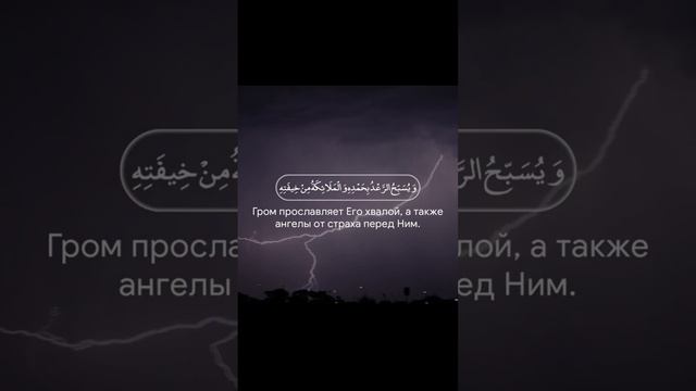 Мухаммад Тарик | Сура 13 Ар-Раад аяты: 12-13 | #quran #islam