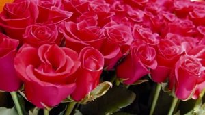 А МНЕ СЕГОДНЯ 50 !