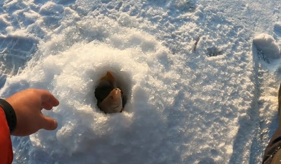 Нашёл поклёвки на мели . смотреть онлайн