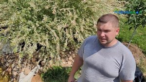 Как установить скиммер, фильтр и коллектор биоплато своими руками в пруд с Azbukasada