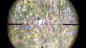 Crow hunting Кроухантинг(Первые фраги со СТРЕЛКИ!)