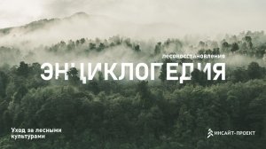 Энциклопедия лесовосстановления_6_Уход за лесными культурами