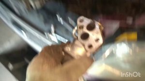 Ford C-Max 1.8 - Зняття та чистка клапана EGR та дросельної заслонки...