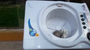 Toy washing machine vs bricks