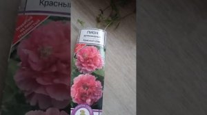 Покупка пиона и клематиса из интернет -магазина Цветок шоп
