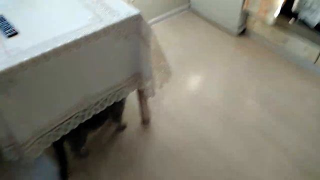 Новый ремешок Розы в росе!)) смотреть онлайн