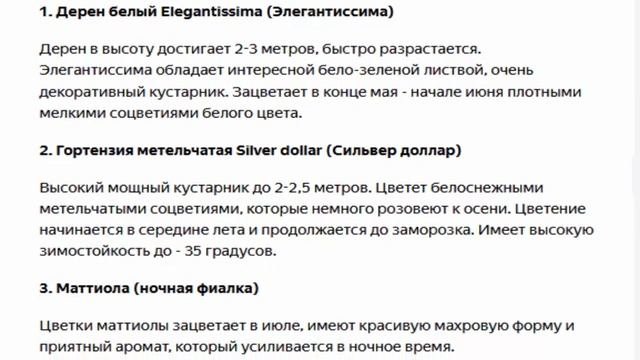 Клумба которая цветет все лето белыми цветами, подробная схема.