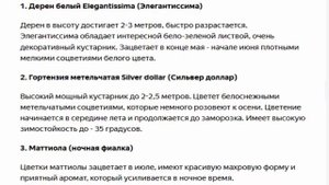 Клумба которая цветет все лето белыми цветами, подробная схема.