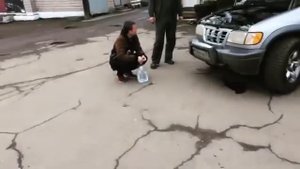 Замена антифриза Kia Sportage 1 2001 года часть 1