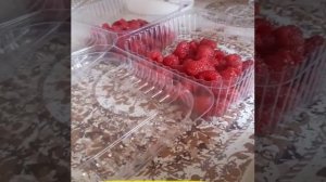 Малина на зиму ( Заморозка) Свежая Малина зимой