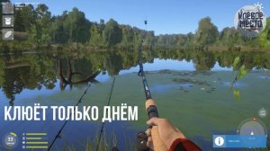 Русская рыбалка 4 - Фарм серебра | оз. Комариное Окунь |- рр4 комариное окунь