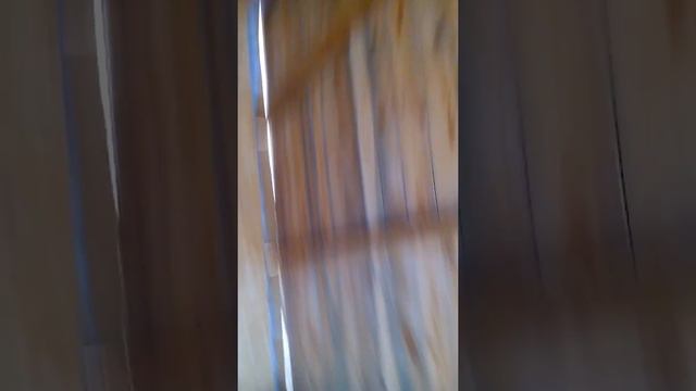 Шашлык зимой на даче!!))