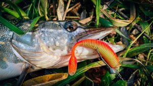 ЛОВЛЯ ЩУКИ на МИКРОРЕЧКЕ