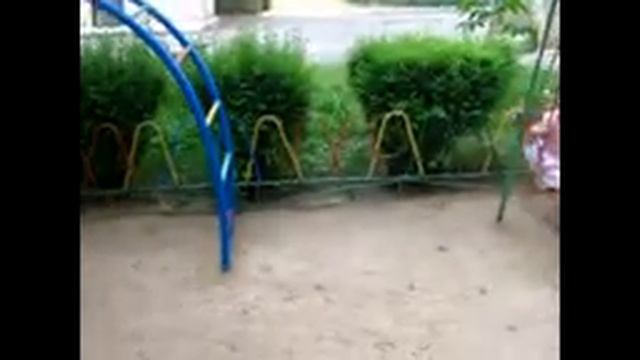 Прогулка 06.07.2016г. смотреть онлайн