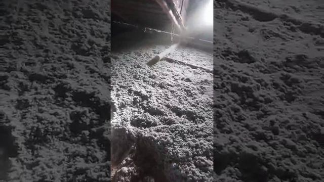 Доутепление чердака эковатой Эколюкс