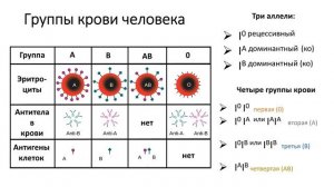 10. Генетика II (9 класс) биология, подготовка к ЕГЭ и ОГЭ интерактивный урок