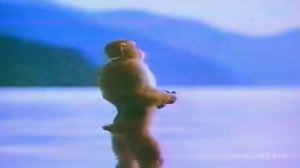 тыщ тыгыдыгыдыщ тыщ