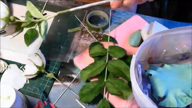 Сборка Шиповника смотреть онлайн