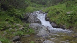 Пешая прогулка по Карпатам