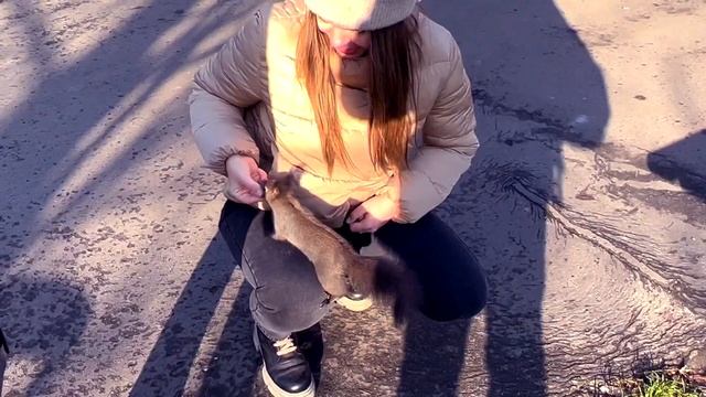 Краков | Krakow | Влог Декабрь 2021 | Город, Бары, Достопримечательности смотреть онлайн