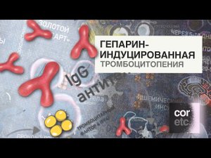 Гепарин-индуцированная тромбоцитопения