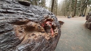 Детский паркур. Парк Рассказовка. Обзор детской площадки